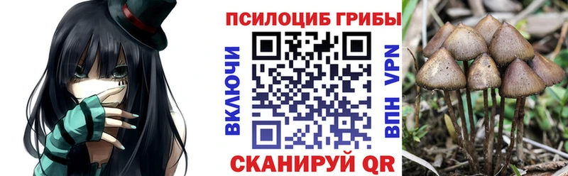 Галлюциногенные грибы мицелий Лебедянь